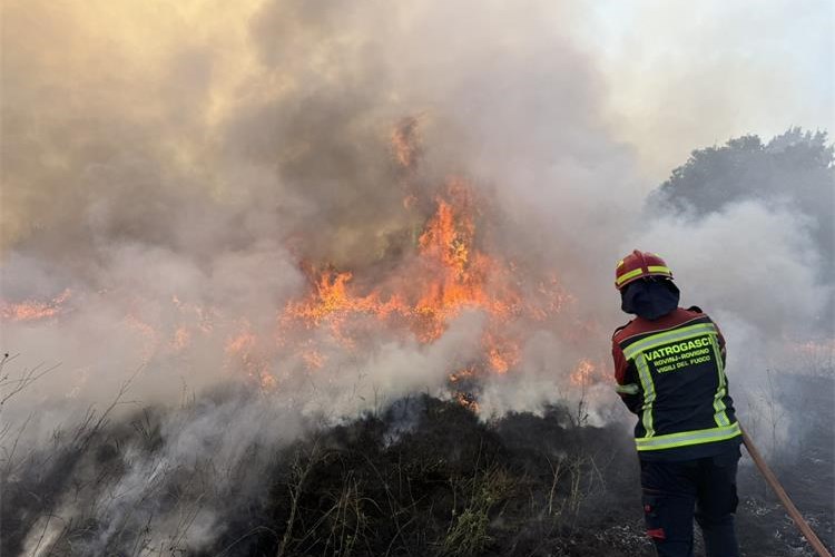 Slika /slike/Požar Žminj.jpg